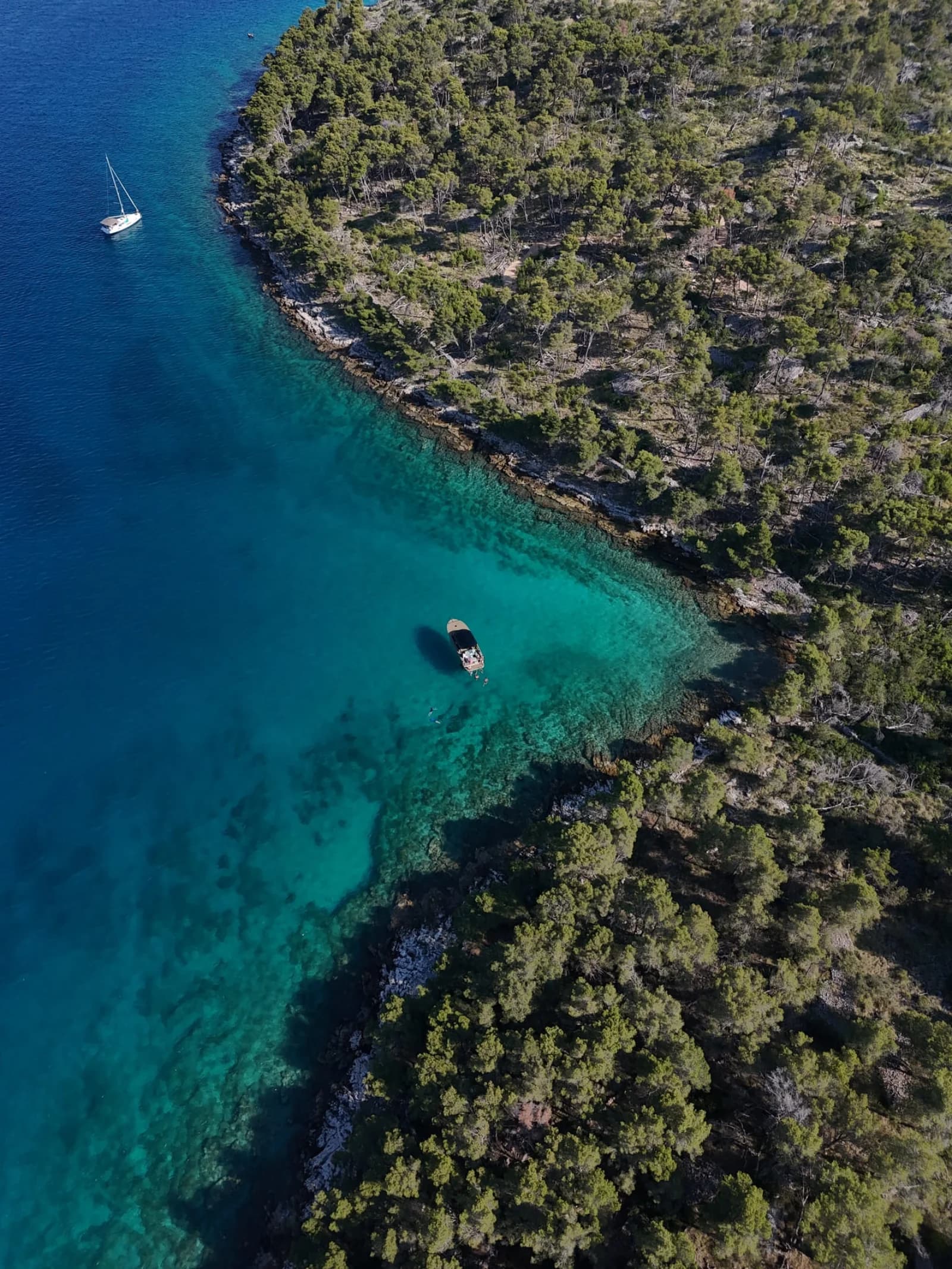 Buenaventura from above, on the edge of a pine-lined bay
