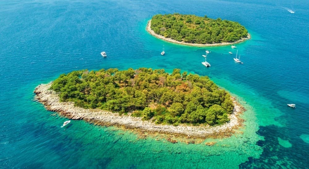Twin pine-clad islets rising from glassy turquoise water
